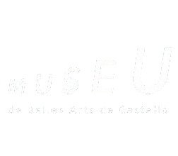 A00 MUSEU BELLES ARTS (1)