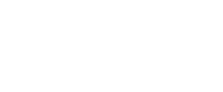 INSTITUTO VALENCIANO DE CULTURA